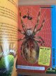 de insectenwereld (nieuw boek)
