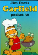 Garfield pocket deel 36