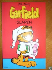Garfield pocket slapen