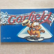 Garfield pocket Special