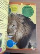 Het dierenrijk (nieuw boek)