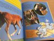 Op de Boerderij (gids voor Kids)