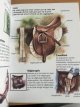 Paarden en Pony's (nieuw boek)